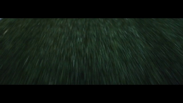Video Reference: Green, Black, Nature, Darkness, Grass, Light, Atmosphere, Leaf, Tree, Wood