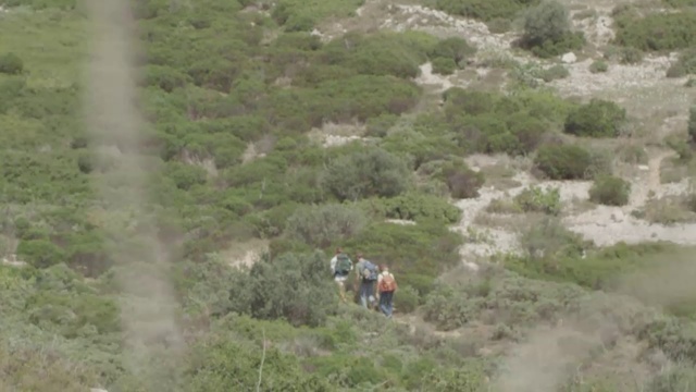 Video Reference: Vegetation, Shrubland, Plant community, Wilderness, Nature reserve, Grassland, Pasture, Grass, Hill station, Geological phenomenon