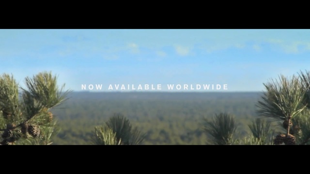 Video Reference: sky, ecosystem, vegetation, tree, grass, morning, horizon, atmosphere, biome, grass family