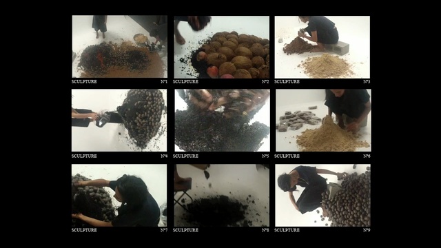 Video Reference: text, organism, photomontage, photo caption, collage, screenshot, font, Person