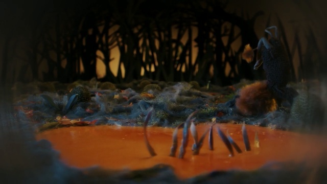 Video Reference: water, reflection, darkness, art, organism, night, painting, visual arts