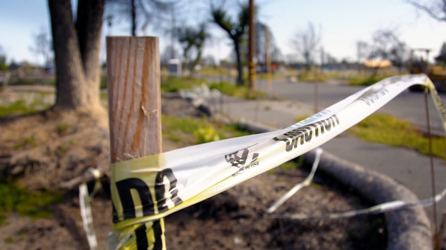 Video Reference: Tree, Vehicle, Person