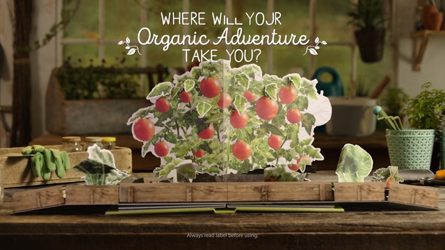 Video Reference: Floristry, Flower Arranging, Flower, Floral design, Plant, Bouquet, Cut flowers, Centrepiece, Flowerpot, Artificial flower