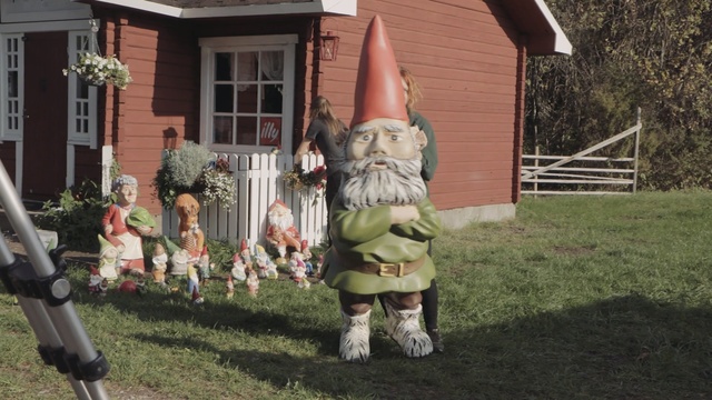 Video Reference: Lawn ornament, Garden gnome, Statue, Grass, Tree, Lawn, Person