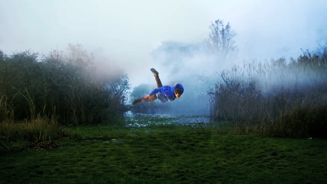 Video Reference: nature, grass, water, sky, morning, tree, meadow, sunlight, landscape, plant