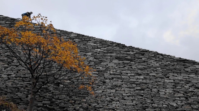 Video Reference: Wall, Tree, Sky, Roof, Leaf, Yellow, Stone wall, Autumn, Woody plant, Architecture