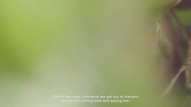 Video Reference: Green, Yellow, Text, Leaf, Macro photography, Sky, Font, Plant, Photography