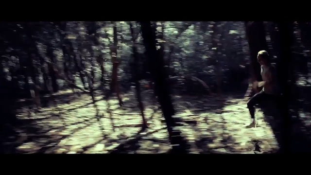 Video Reference: forest, nature, tree, woodland, ecosystem, woody plant, darkness, path, sunlight, old growth forest