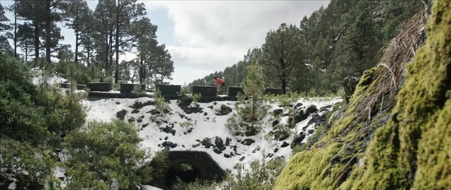 Video Reference: Nature, Natural landscape, Nature reserve, Wilderness, Geological phenomenon, Tree, Hill station, Watercourse, Landscape, Highland