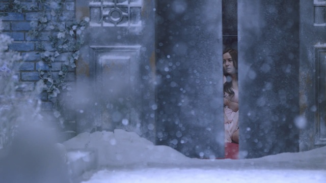 Video Reference: snow, freezing, winter, frost, winter storm, blizzard, ice, tree, screenshot, Person