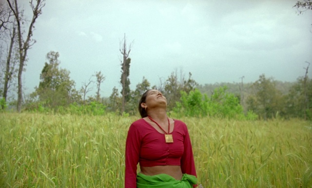 Video Reference: People in nature, Grassland, Nature, Meadow, Grass, Prairie, Green, Natural environment, Natural landscape, Field