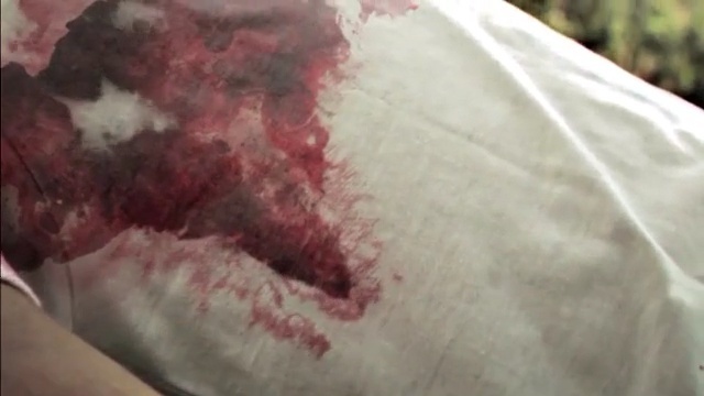 Video Reference: Skin, Flesh, Jaw, Great white shark