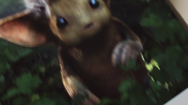 Video Reference: Snout, Organism, Eye, Terrestrial animal, Fawn, Marsupial