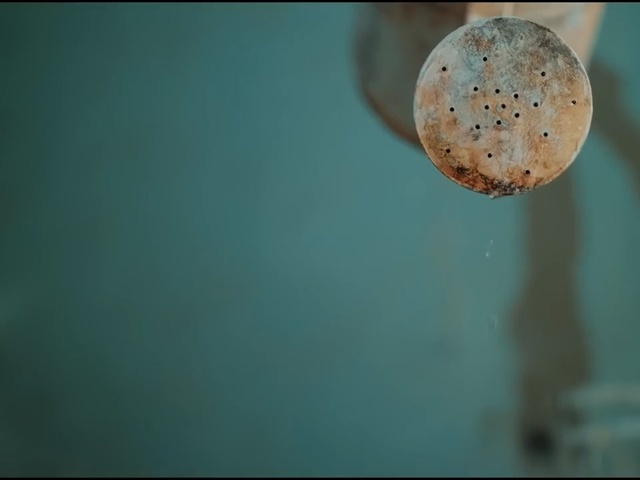 Video Reference: water, macro photography, close up, jellyfish, atmosphere, organism, underwater, marine biology, sky, computer wallpaper, Person