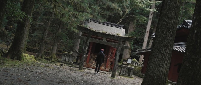 Video Reference: forest, tree, path, jungle, shrine, temple, old growth forest, plant, torii, village