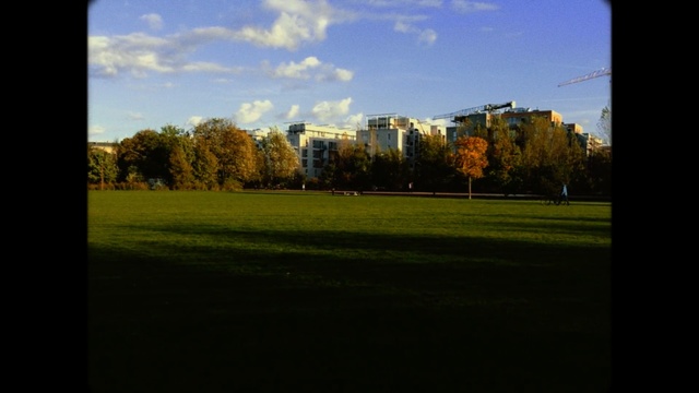 Video Reference: sky, nature, green, yellow, grass, tree, leaf, residential area, atmosphere, morning