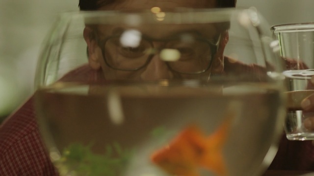 Video Reference: glasses, drink, glass, stemware, tableware, wine glass, vision care, drinkware, eyewear