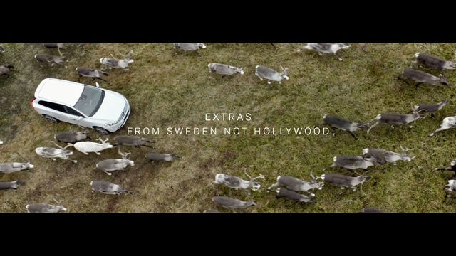 Video Reference: Grass, Rock, Photography, Landscape, Aerial photography, Soil, Screenshot