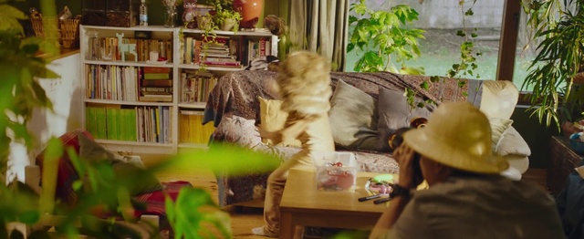 Video Reference: Cat, Room, Felidae, Furniture, Plant, Home, Small to medium-sized cats, Living room, Maine coon, Kitten