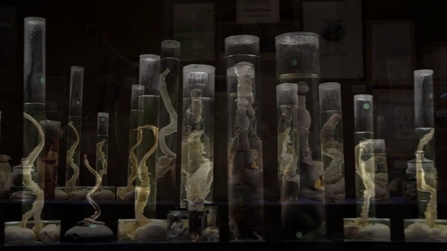 Video Reference: Column, Photography, Ancient history, Art, Still life photography, Collection, Person