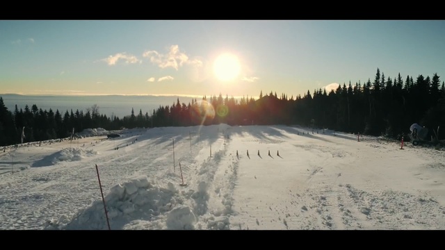Video Reference: sky, winter, snow, freezing, tree, morning, horizon, sunlight, atmosphere, geological phenomenon