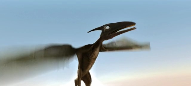 Video Reference: sky, beak, bird, wing