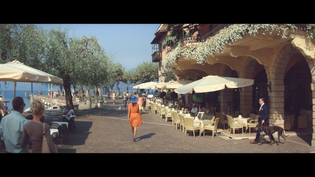 Video Reference: tree, tourism, city, recreation, vacation, sky, fun