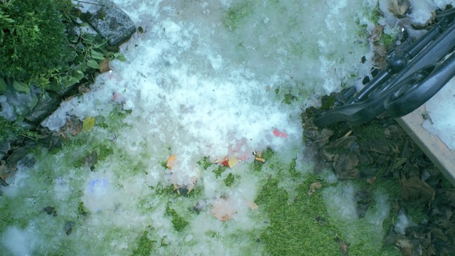 Video Reference: water, water resources, vegetation, leaf, watercourse, grass, water feature, tree