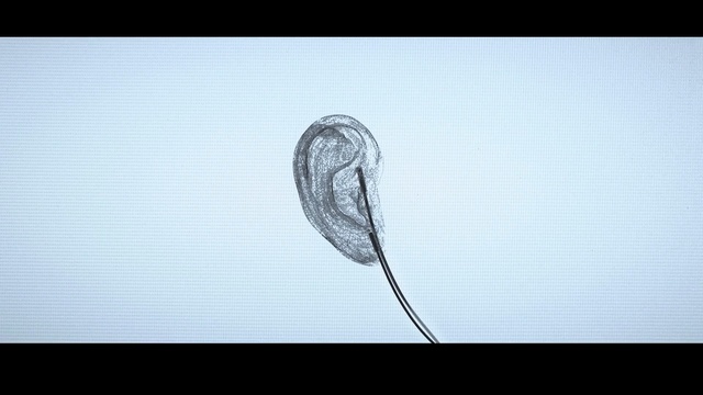 Video Reference: organism, drawing, sky, font, artwork