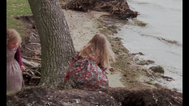 Video Reference: orangutan, sporting dog, Person