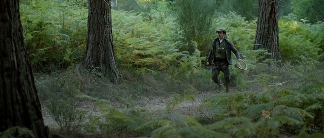 Video Reference: forest, ecosystem, woodland, nature reserve, wilderness, vegetation, jungle, old growth forest, rainforest, path, Person