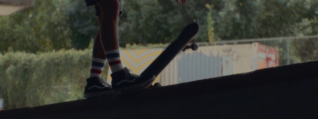 Video Reference: Recreation, Skateboard