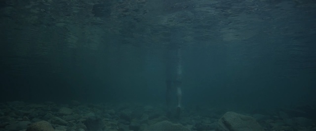 Video Reference: water, underwater, sea, light, atmosphere, marine biology, ocean, darkness, sunlight, sky