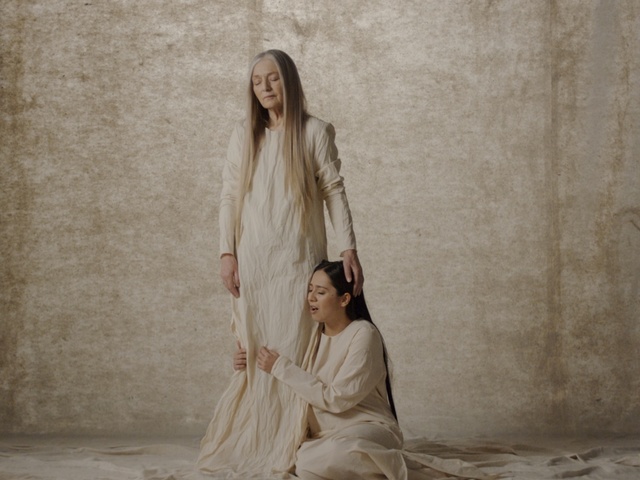 Video Reference: Lady, Beauty, Long hair, Fashion, Photography, Outerwear, Dress, Neck, Visual arts, Plant, Person