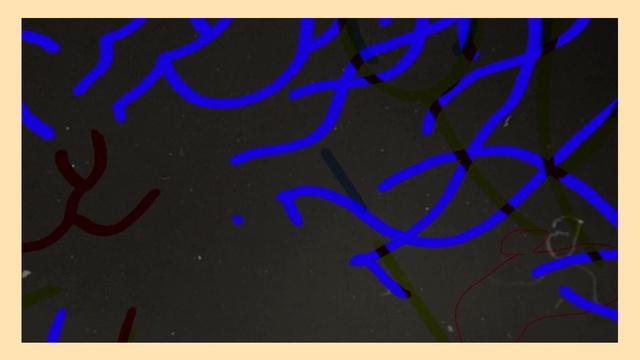 Video Reference: blue, black, text, pattern, font, design, line, art, area, organism