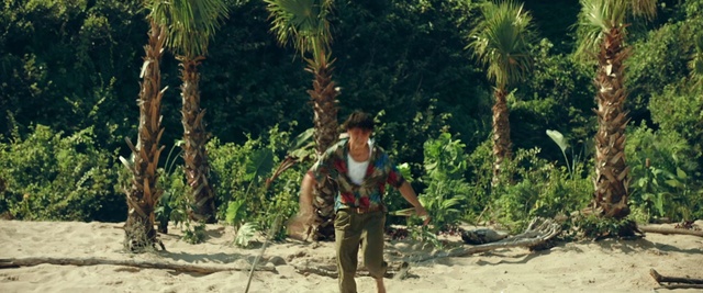 Video Reference: Jungle, Tree, Wilderness, Adaptation, Plant, Forest, Palm tree, Arecales, Person, Outdoor, Man, Beach, Sand, Playing, Young, Standing, Sandy, Elephant, Woman, Holding, Frisbee, Walking, Palm, Game, Throwing, Dirt, Boy, People, Riding, Flying, Field, Ground, Hiking, Clothing