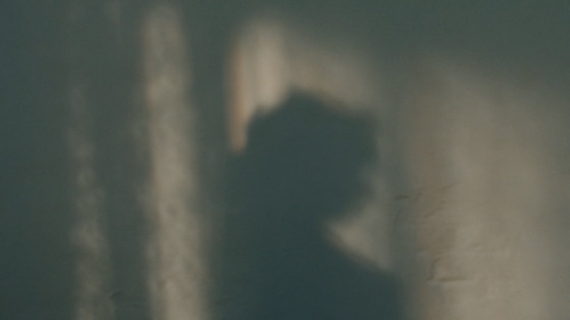 Video Reference: Black, Green, Atmospheric phenomenon, Atmosphere, Brown, Sky, Wood, Sunlight, Photography, Darkness