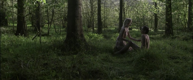 Video Reference: forest, woodland, ecosystem, nature reserve, tree, grass, wilderness, old growth forest, wildlife, grove