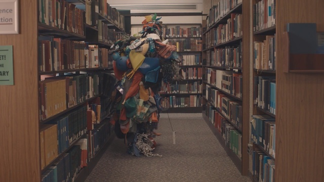 Video Reference: Library, Shelving, Bookcase, Public library, Shelf, Snapshot, Collection, Building, Book, Fiction