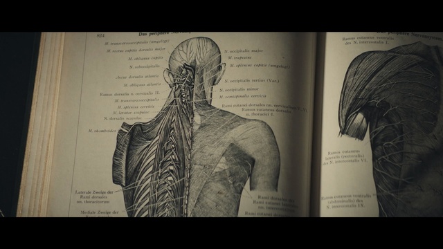Video Reference: human behavior, human, organ, art, arm, design, visual arts, jaw, font, black and white, Person