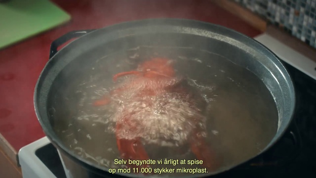 Video Reference: Food, Dish, Cuisine, Boiling, Recipe, Cookware and bakeware, Ingredient, Frying, Cooking, Soup