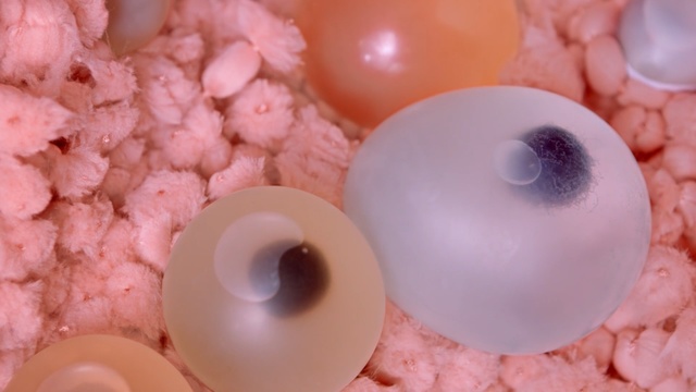 Video Reference: pink, close up, Person