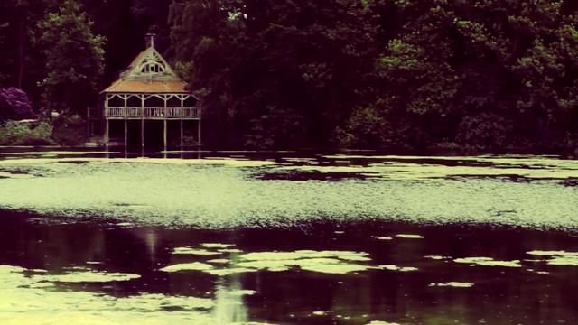 Video Reference: reflection, water, nature, green, leaf, tree, plant, pond, grass, water feature, Person