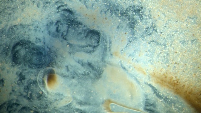 Video Reference: Watercolor paint, Art, Space, Painting, Person