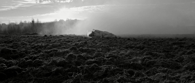 Video Reference: sky, landscape, field, cloud, rural, clouds