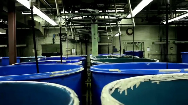 Video Reference: Blue, Building, Leisure