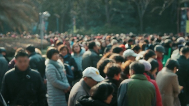 Video Reference: Crowd, People, Audience, Event, City