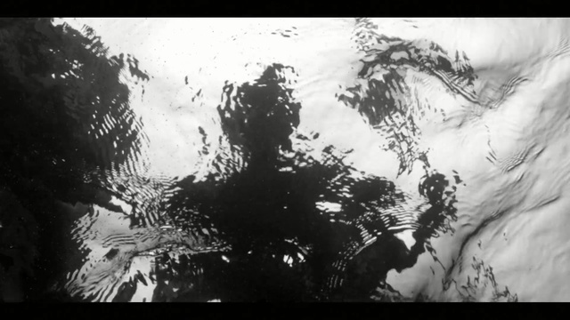 Video Reference: white, black, nature, black and white, photograph, monochrome photography, sky, tree, atmosphere, photography, Person