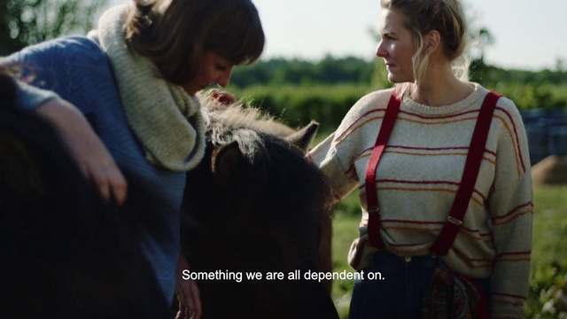 Video Reference: Friendship, Adaptation, Human, Interaction, Happy, Smile, Photography, Gesture, Horse, Conversation