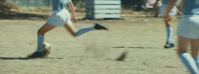 Video Reference: Play, Fun, Beach soccer, Sand, Seabird, Ball, Vacation, Bird